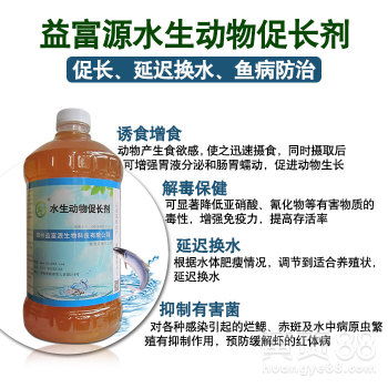 益富源水產促長劑 改善水質，提升水產品產量與品質的關鍵