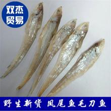 丹江口市博奧水產(chǎn)品有限責任公司 優(yōu)質(zhì)水產(chǎn)品供應商，專注凍銀魚與凍斑點叉尾鮰