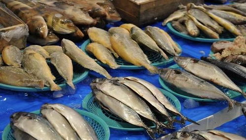 新一輪漲價潮來襲 從油價到餐桌，水產品價格牽動民生