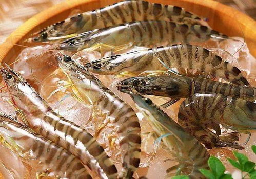 西安農貿市場全面禁售進口水產凍貨，商戶簽訂承諾書力保食品安全