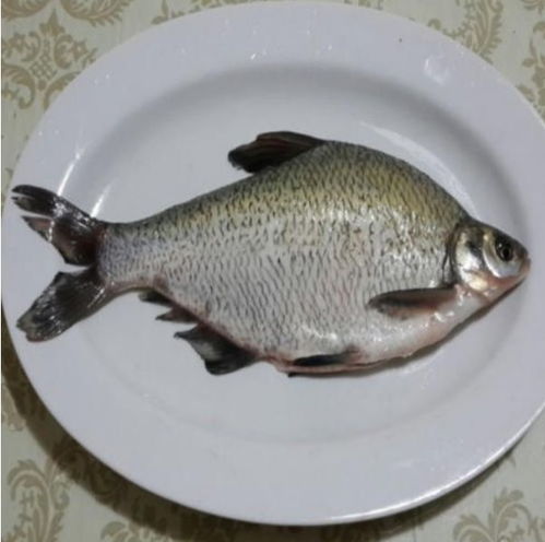 市場監(jiān)管總局通報 兩種水產(chǎn)品抽檢不合格，提醒消費者注意購買安全